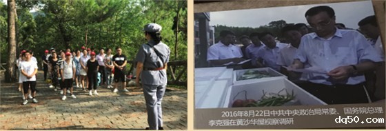 新利18是什么平台,轻触开关,微动开关,编码器