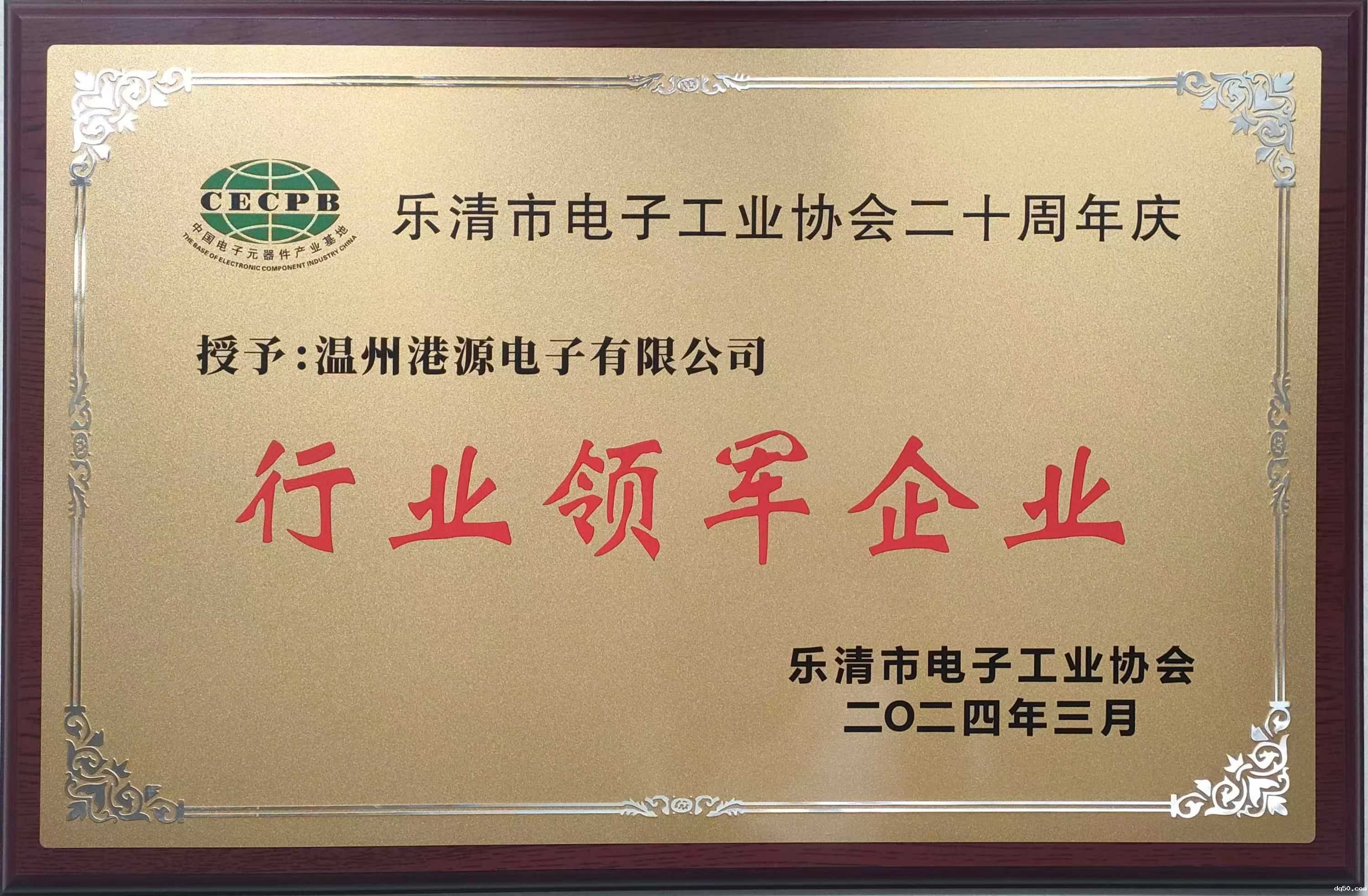 dq50行业领军企业